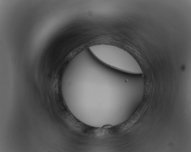 X0000094800762200711160940