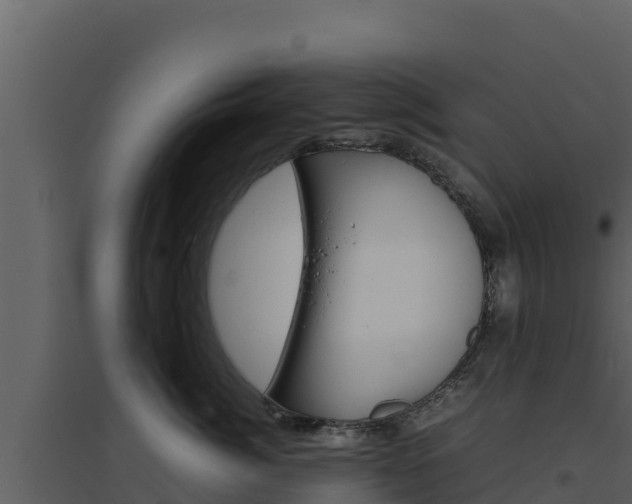 X0000094800764200711160940