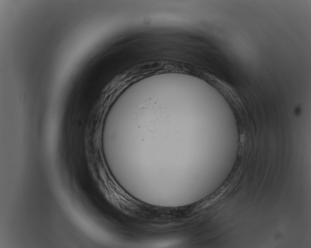 X0000094800765200711160940