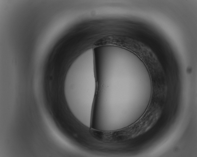 X0000094800766200711160940