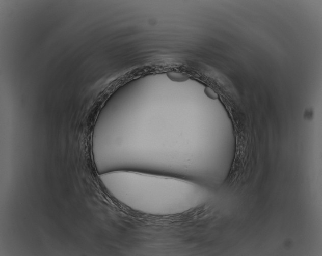 X0000094800773200711160940