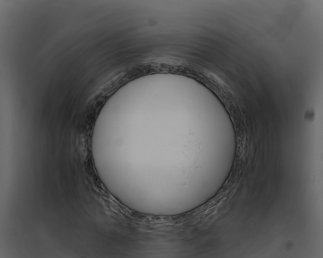 X0000094800774200711160940