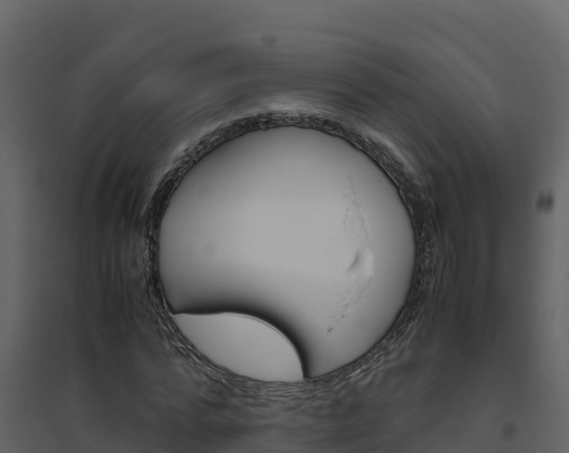 X0000094800776200711160940