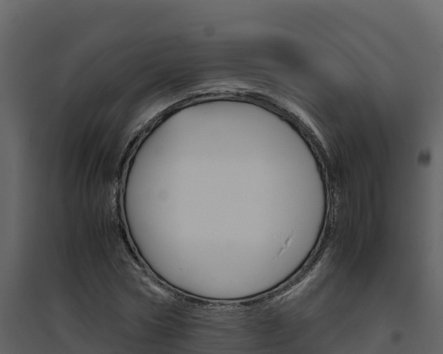 X0000094800778200711160940