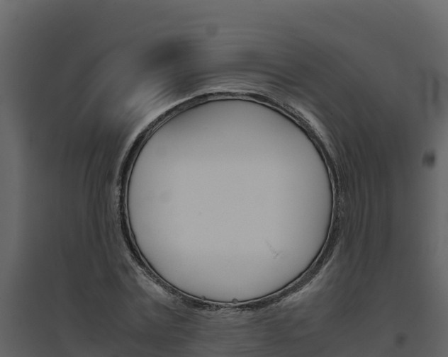 X0000094800779200711160940