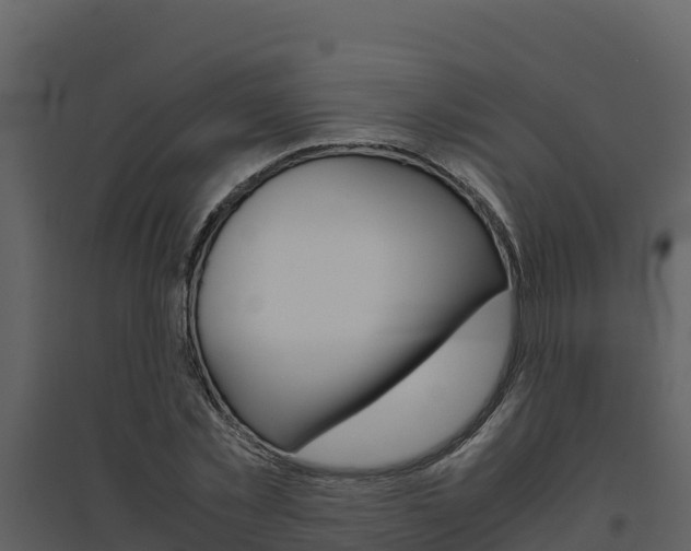 X0000094800781200711160940