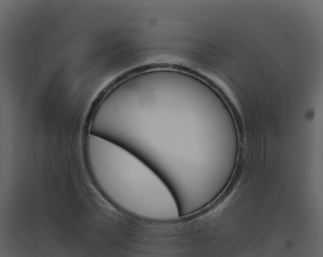 X0000094800783200711160940