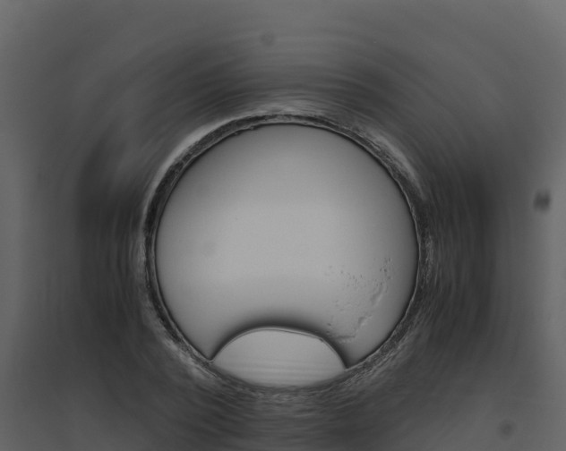 X0000094800784200711160940