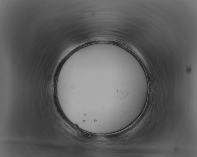 X0000094800787200711160939