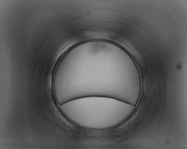 X0000094800790200711160939