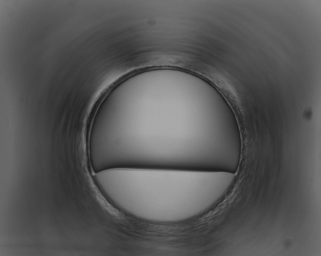 X0000094800792200711160939