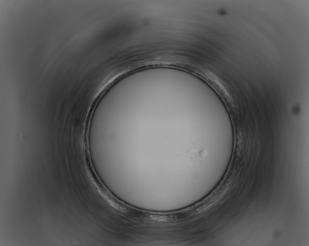 X0000094800794200711160939