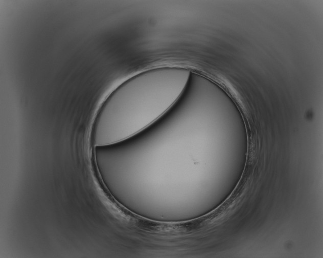 X0000094800795200711160939