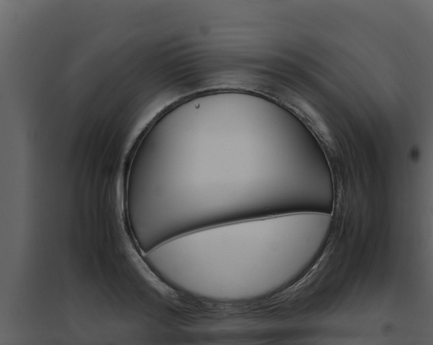 X0000094800796200711160939