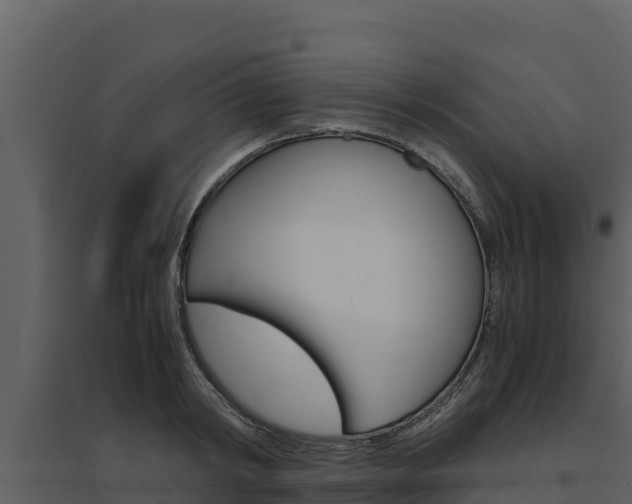 X0000094800798200711160939