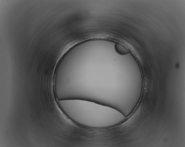 X0000094800802200711160939