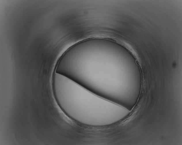 X0000094800803200711160939