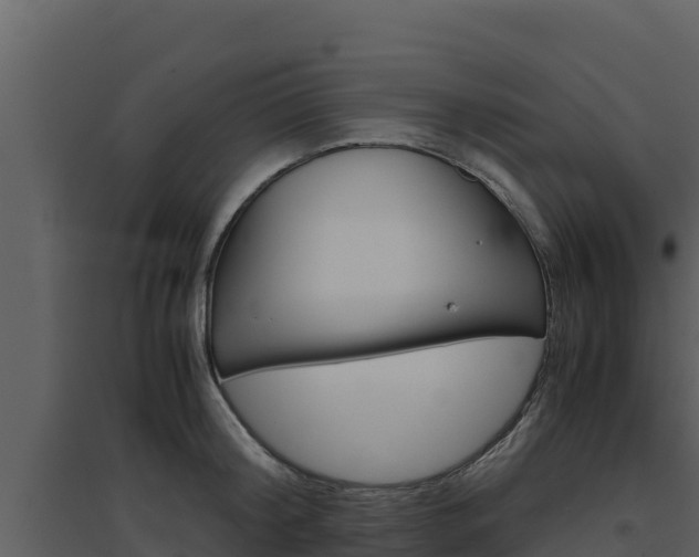 X0000094800804200711160939