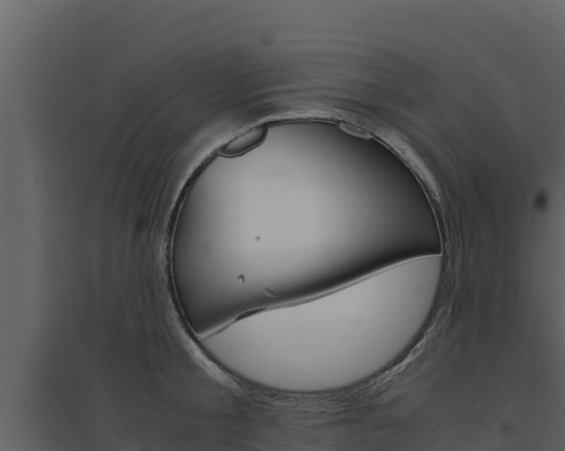X0000094800805200711160939