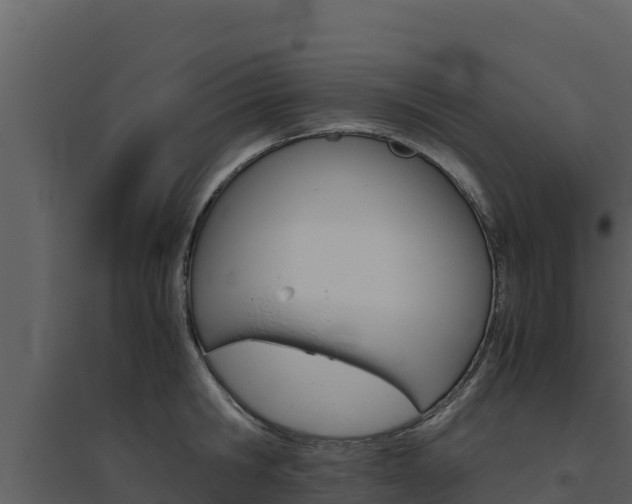 X0000094800806200711160939