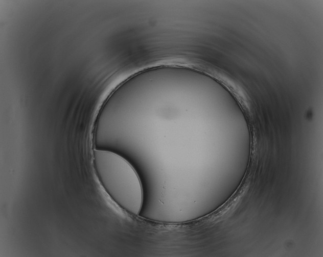 X0000094800808200711160939