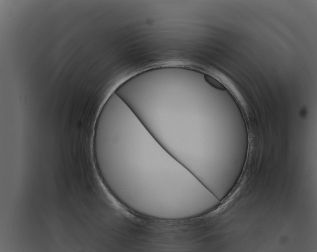 X0000094800810200711160939