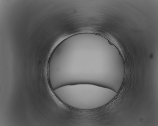 X0000094800811200711160939