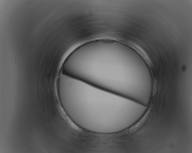 X0000094800812200711160939