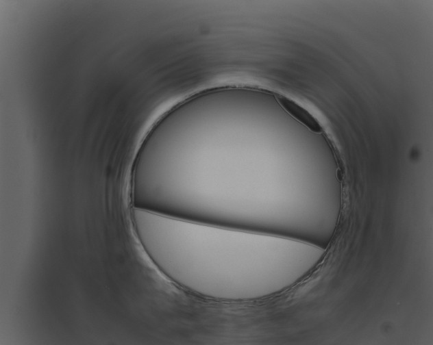 X0000094800815200711160939