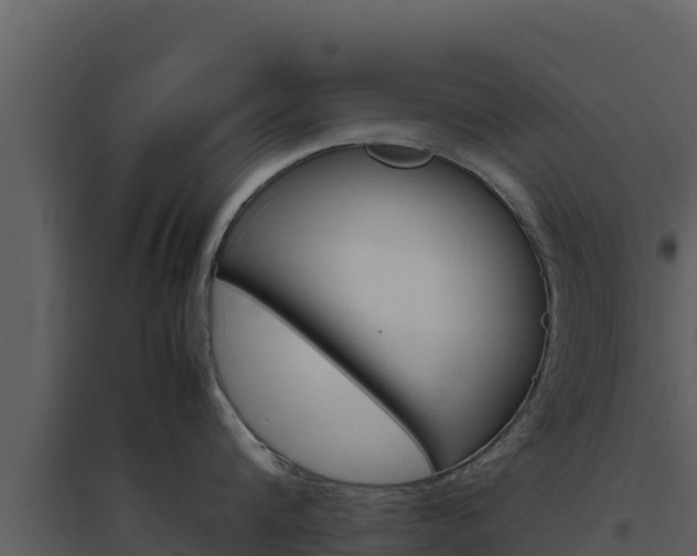 X0000094800816200711160939