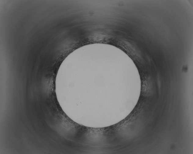 X0000094800820200711160938