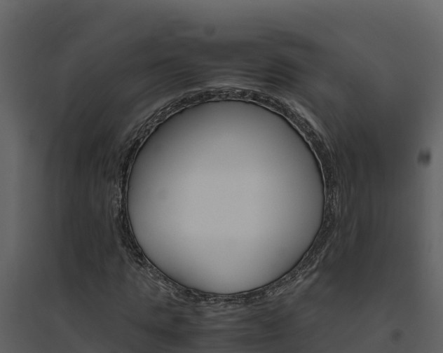 X0000094800821200711160938
