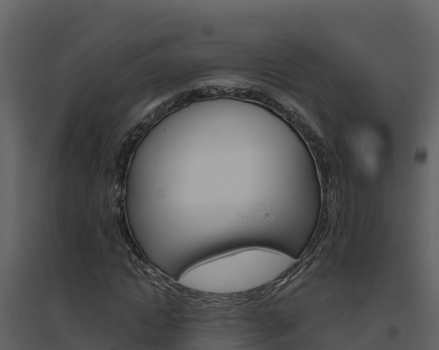X0000094800822200711160939