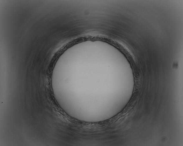 X0000094800823200711160939