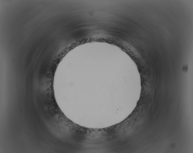 X0000094800824200711160939