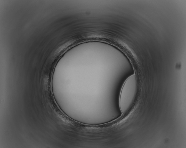 X0000094800825200711160939