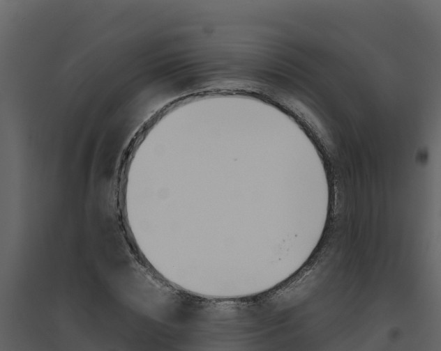X0000094800828200711160939