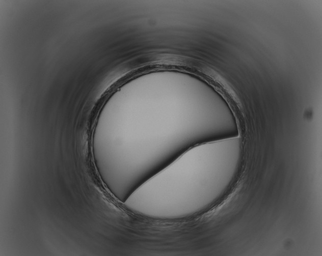 X0000094800829200711160939