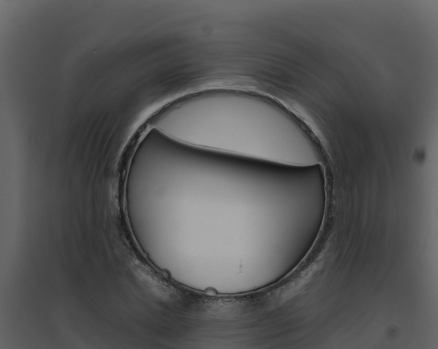 X0000094800830200711160939
