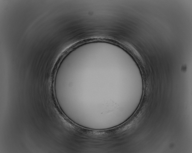 X0000094800831200711160939