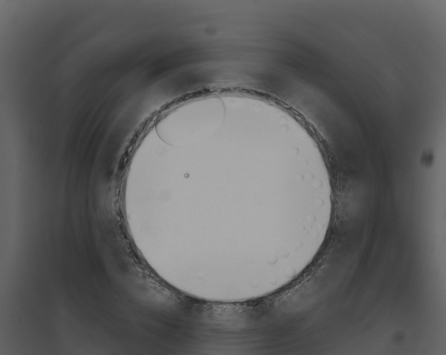 X0000094800832200711160939