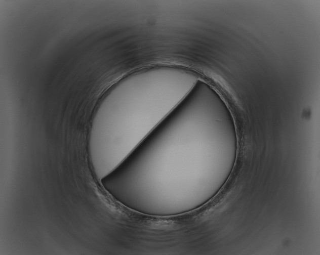 X0000094800833200711160939