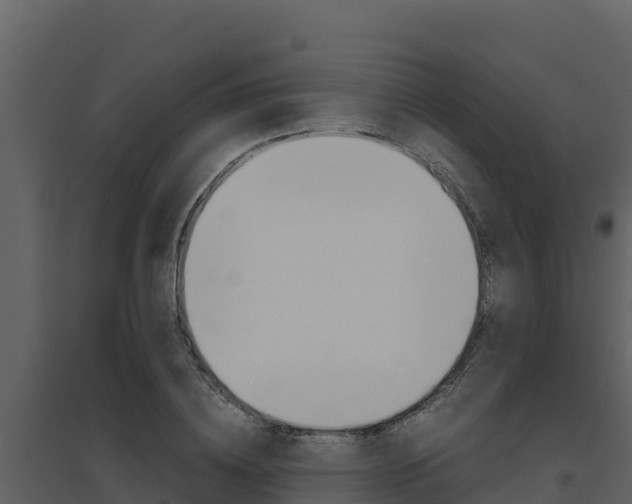 X0000094800836200711160939
