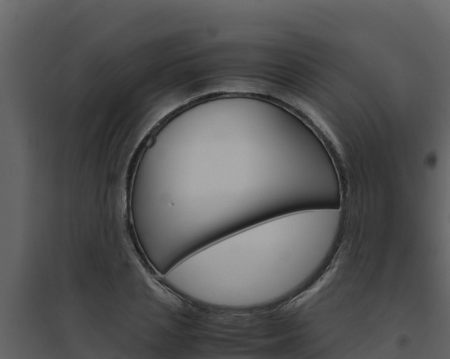 X0000094800837200711160939