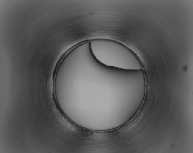 X0000094800840200711160939