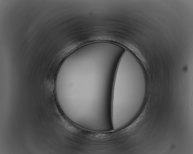 X0000094800841200711160939