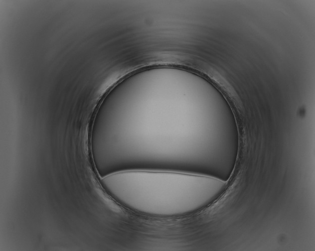 X0000094800842200711160939