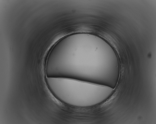 X0000094800843200711160939