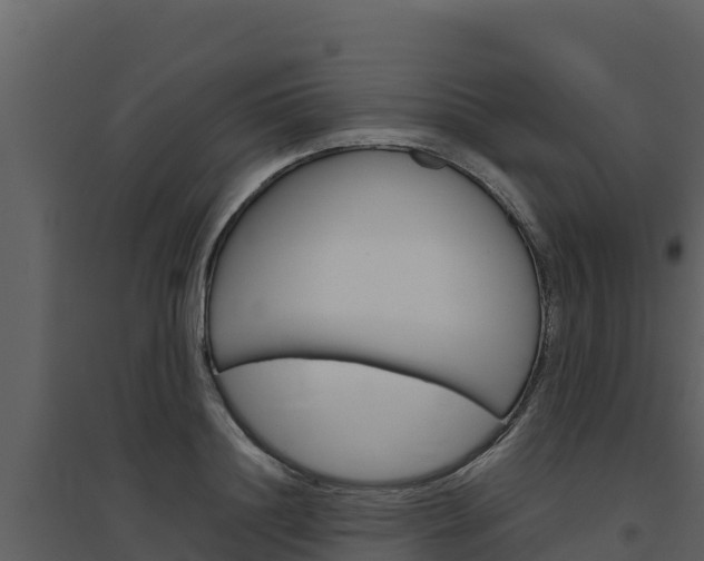 X0000094800844200711160939