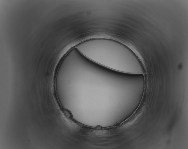 X0000094800845200711160939